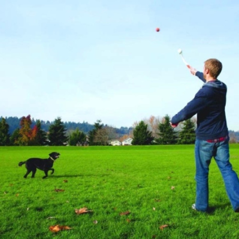 Sport Ball Launcher